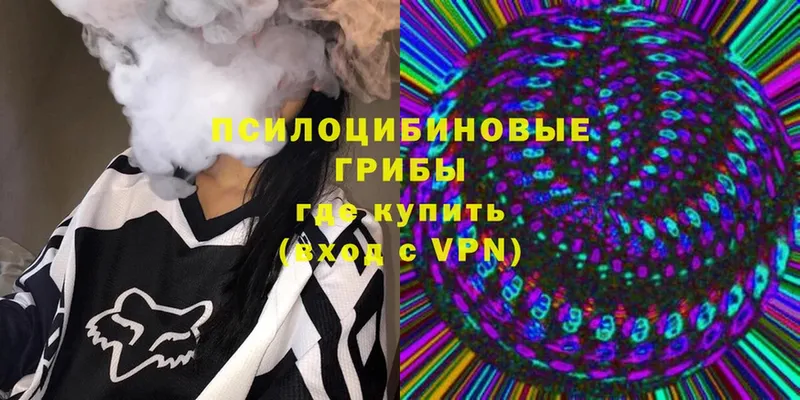 ОМГ ОМГ   Сольцы  shop официальный сайт  Галлюциногенные грибы Psilocybine cubensis 